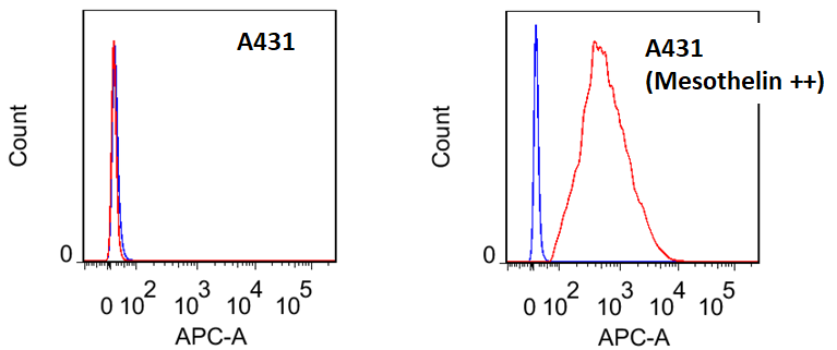 Flow Cytometry Assay