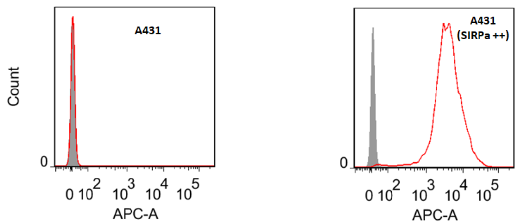 Flow Cytometry Assay