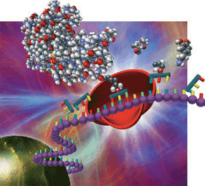 Protein Production by Cell-Free Protein Synthesis