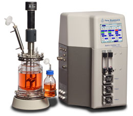Transient Protein Production using HEK 293 Cells