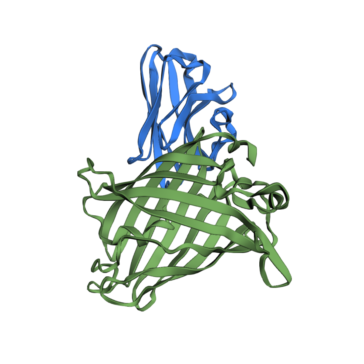Anti-GFP Nanobody (VHH), Recombinant, Purified