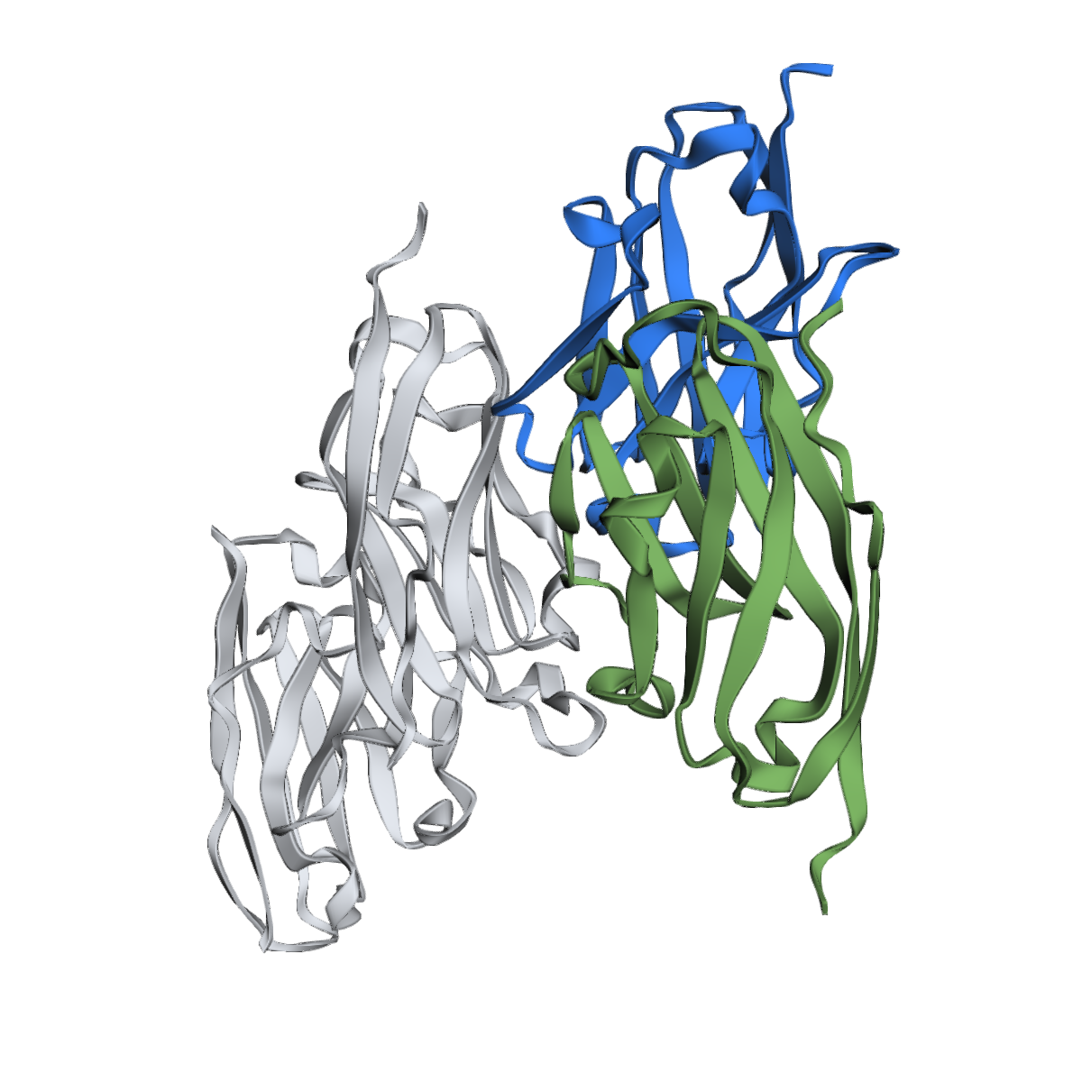 Anti-PD-L1 Nanobody (VHH), Recombinant, Purified