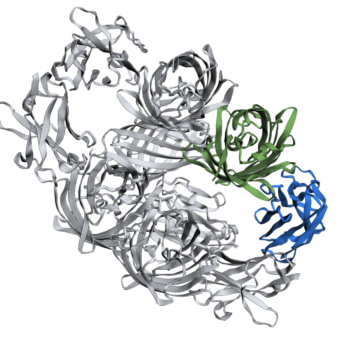 Anti-RFP / mCherry Nanobody (VHH), Recombinant, Purified