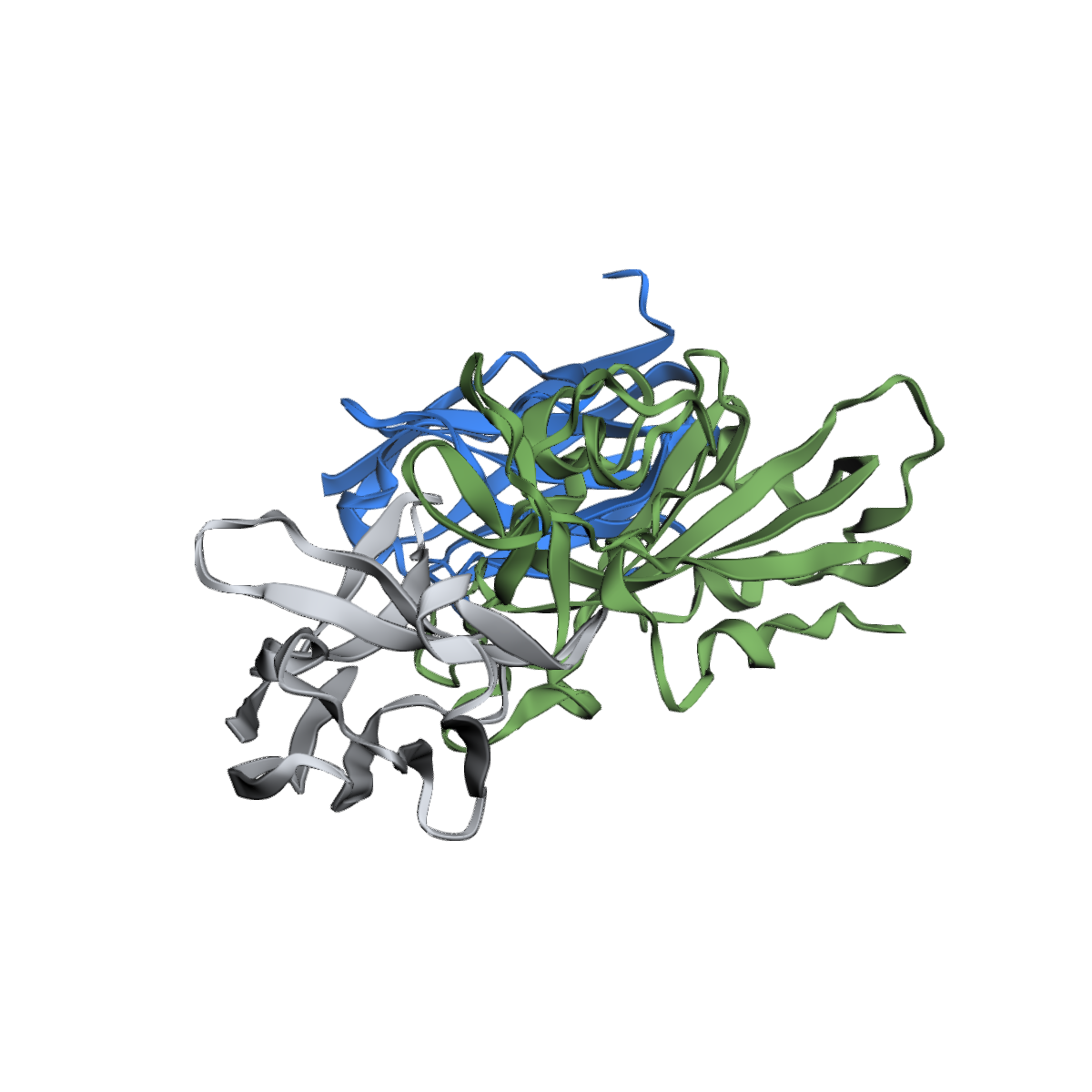 Anti-SARS-CoV-2 Spike Nanobody (VHH), Recombinant, Purified