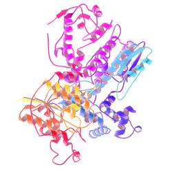 Protein Expression and Purification using Bacterial Expression System