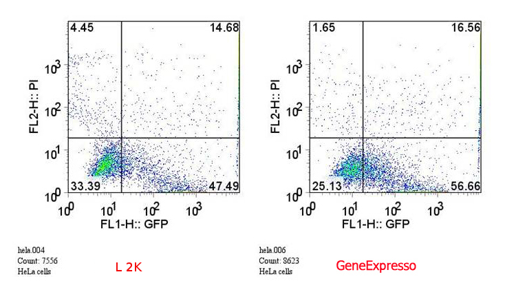 FACS analysis of transfection efficiency in multiple cell lines